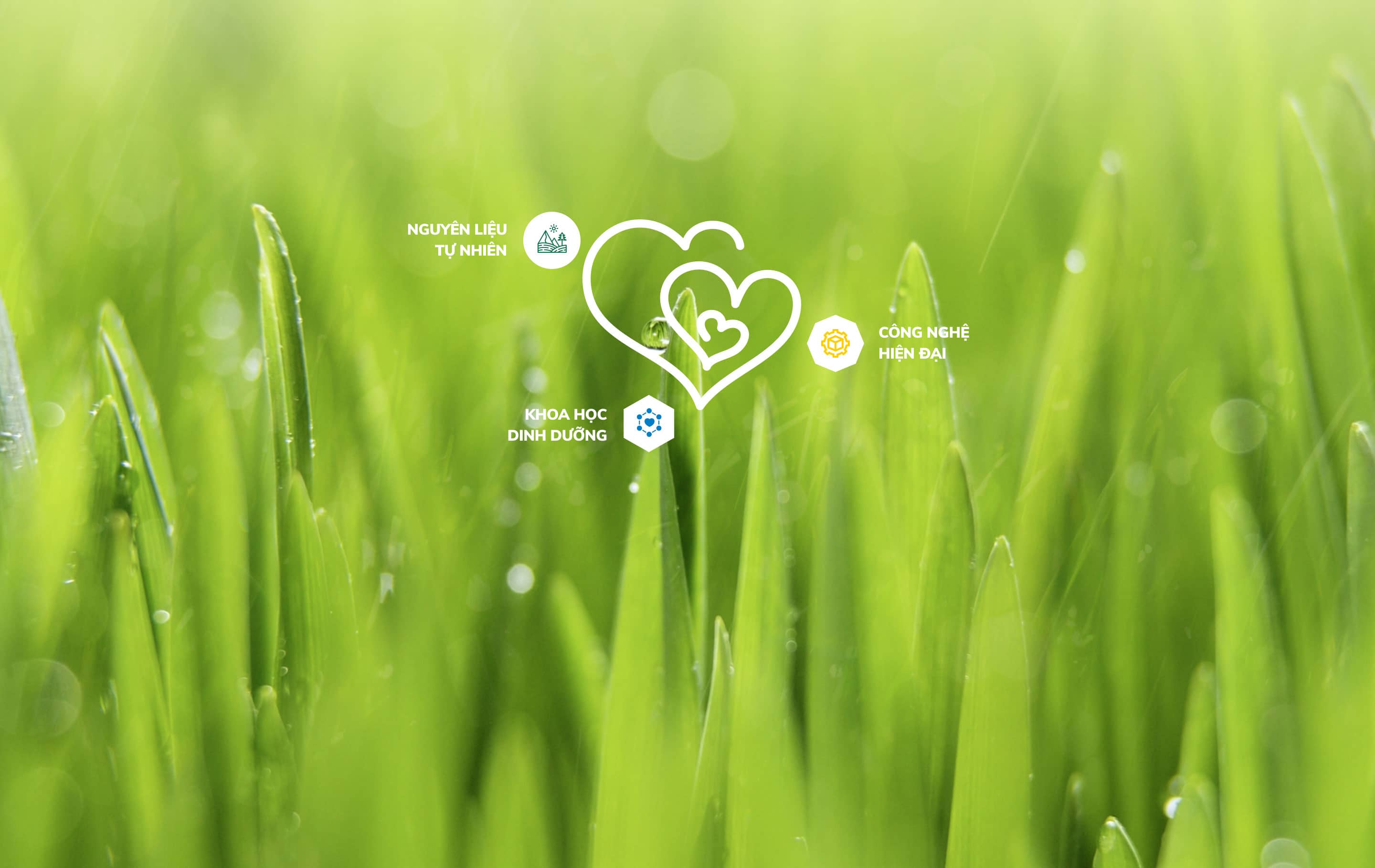 Nutifood - A good thing from the farm <br /> to nutritional product