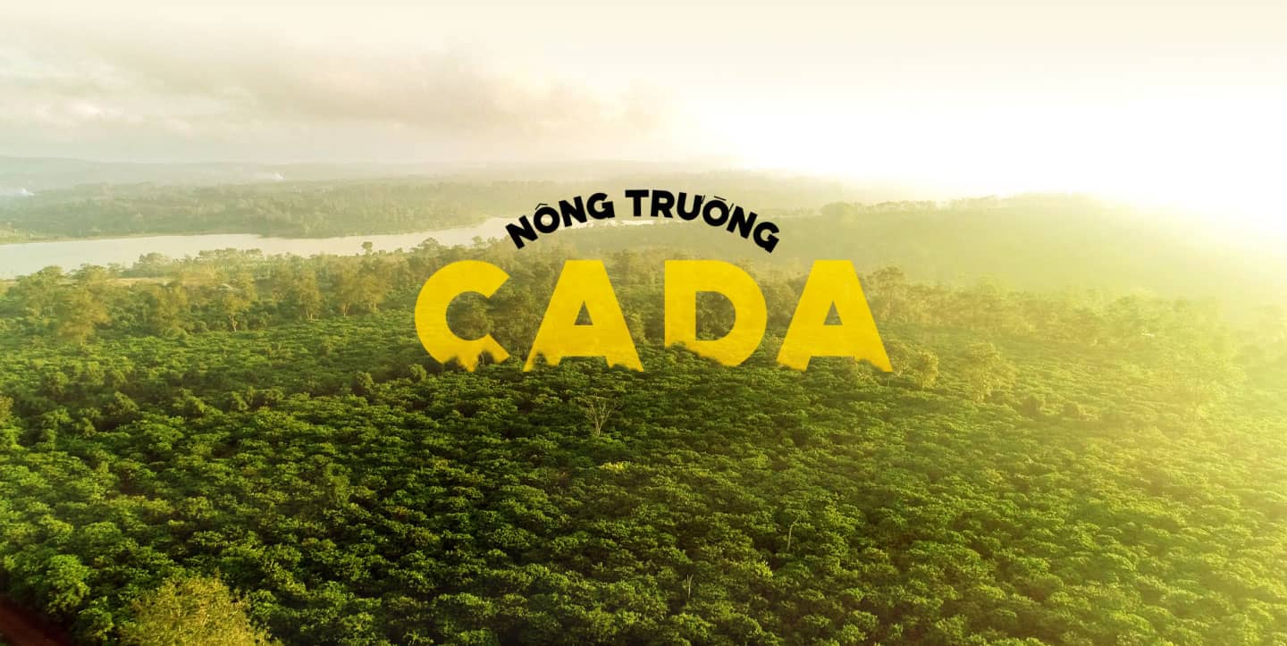 Revitalizing high-yield CADA Coffee